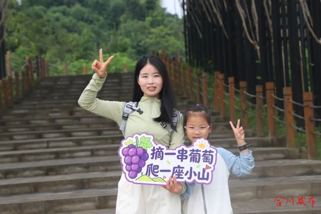 微信图片_20260703114340_634_25.jpg