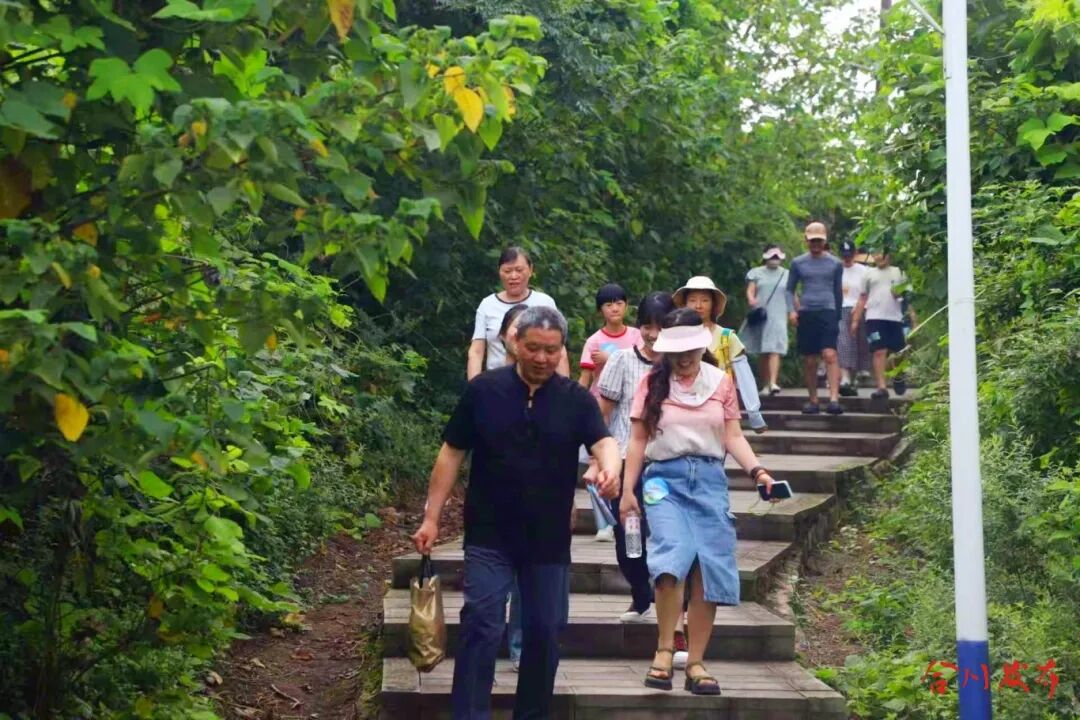 微信图片_20260703114408_637_25_副本.jpg