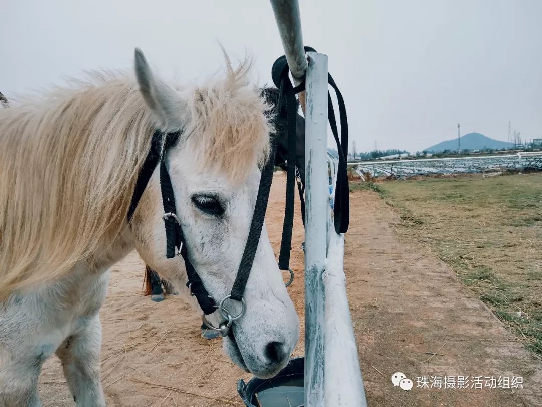 【手機攝影】旅人日記之南澳民宿的印象 科技 第36張