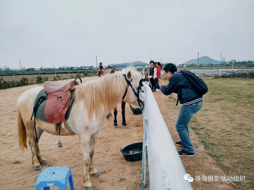 【手機攝影】旅人日記之南澳民宿的印象 科技 第39張