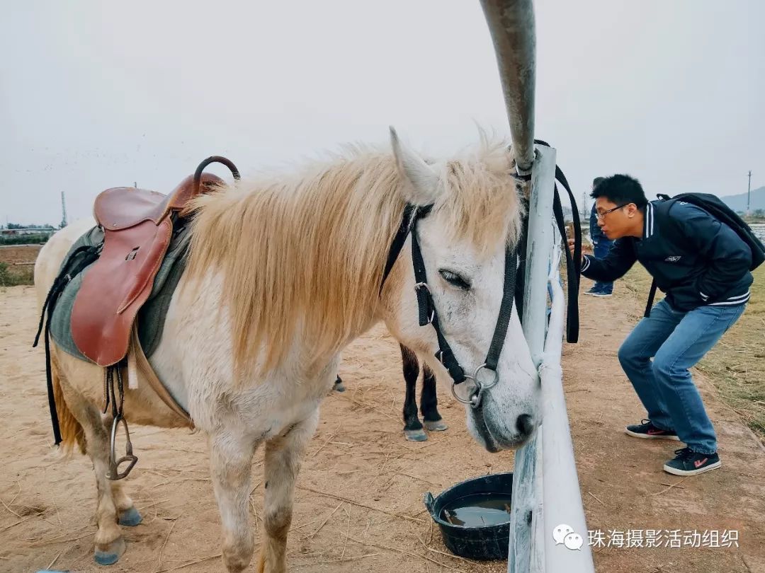 【手機攝影】旅人日記之南澳民宿的印象 科技 第32張