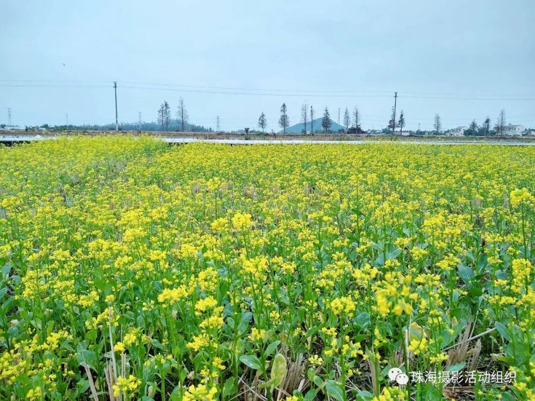 【手機攝影】旅人日記之南澳民宿的印象 科技 第26張