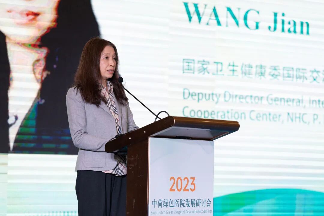 china hospeq怎么读践行绿色发展理念，助力健康中国建设 “中荷绿色医院发展研讨会“ 在武汉举行_https://www.jmylbn.com_新闻资讯_第3张