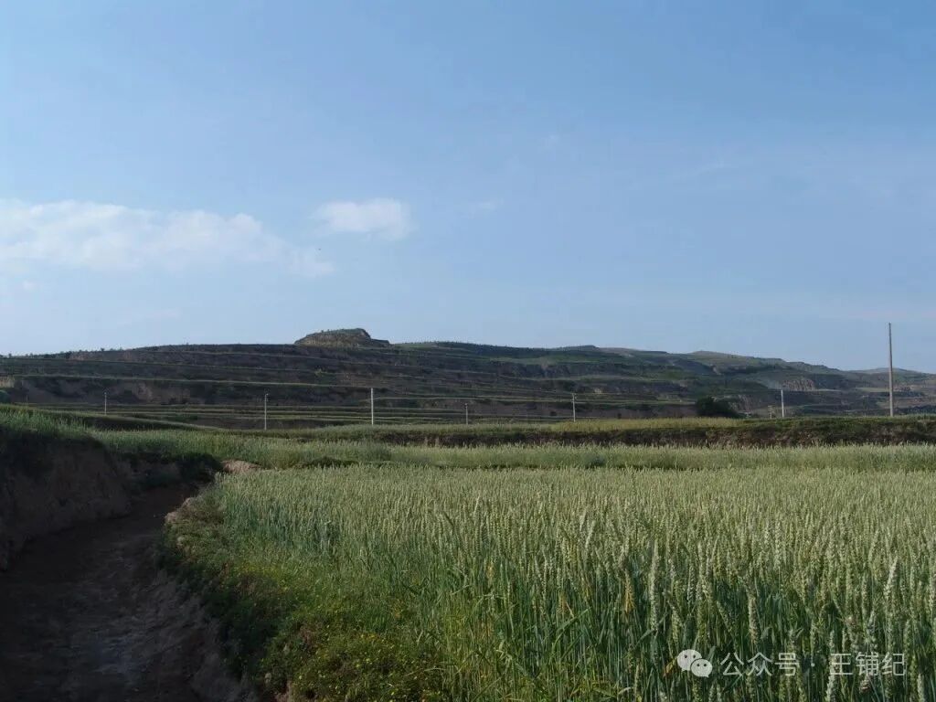 航拍秦西垂陵园：礼县大堡子山遗址及墓群