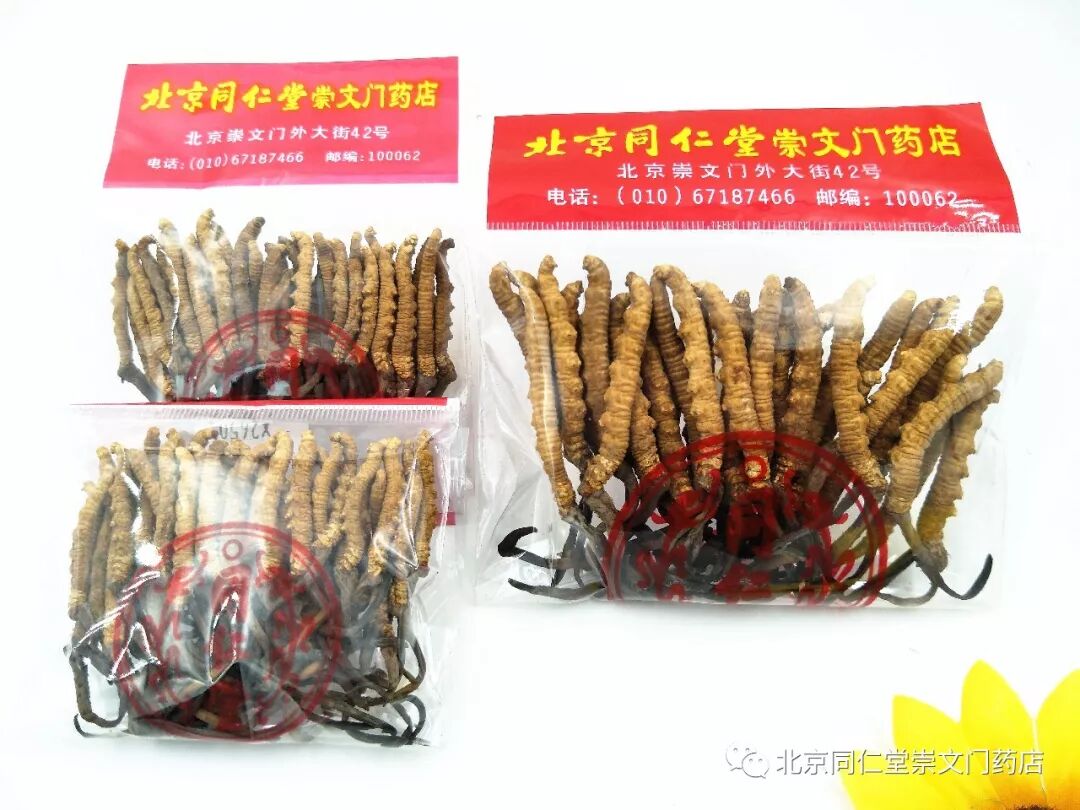 贺新春 建康城 送温暖 贺新春 建康城 送温暖