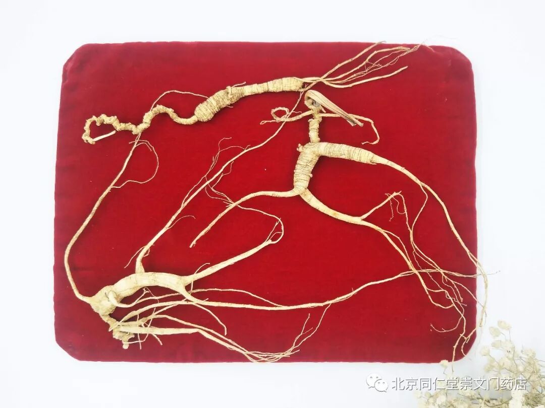 贺新春 建康城 送温暖 贺新春 建康城 送温暖