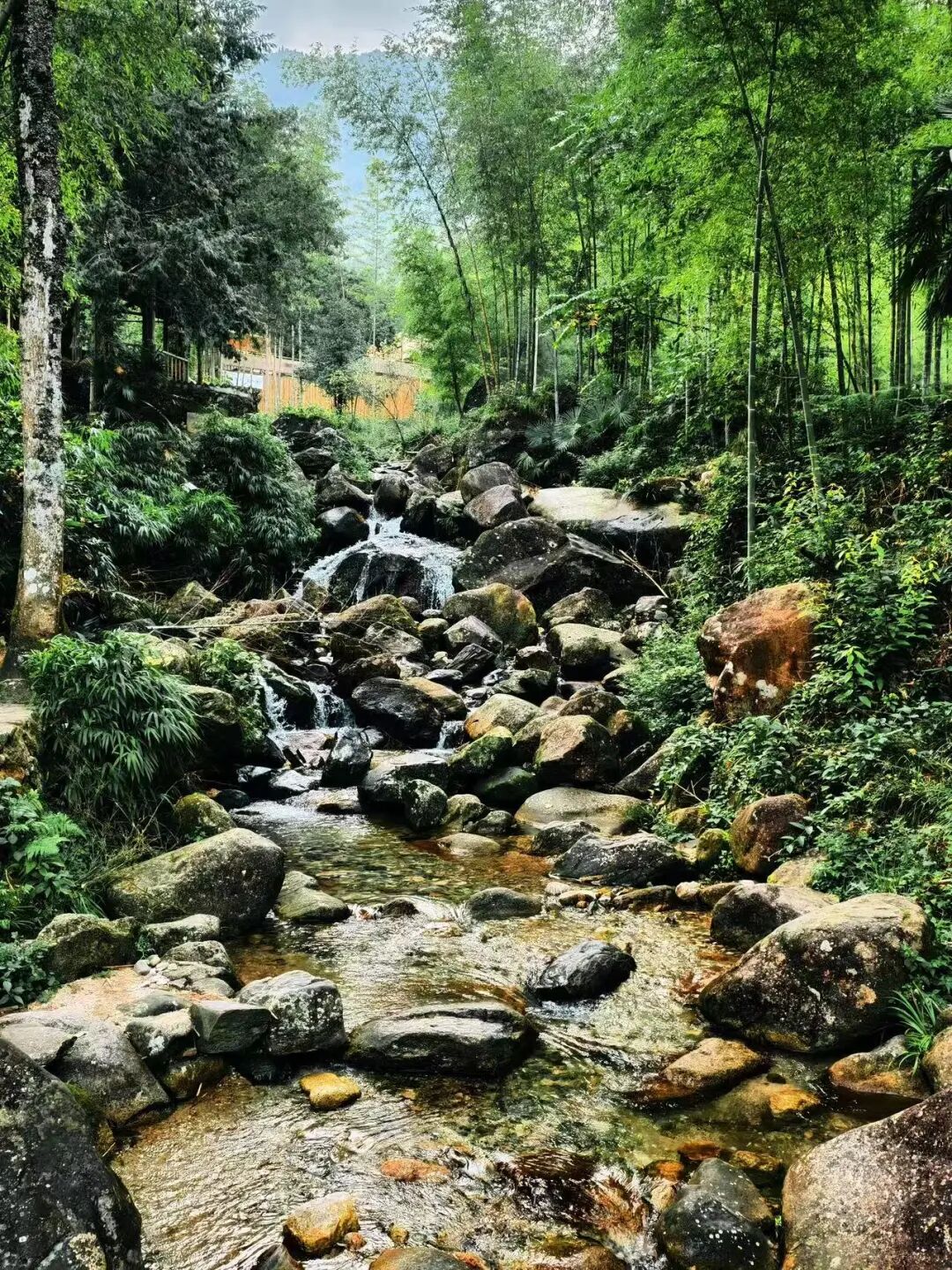 高铁直达，挖到了和昆明齐名的“春城”，4元一碗粉，泡汤江西一绝，安逸又便宜！