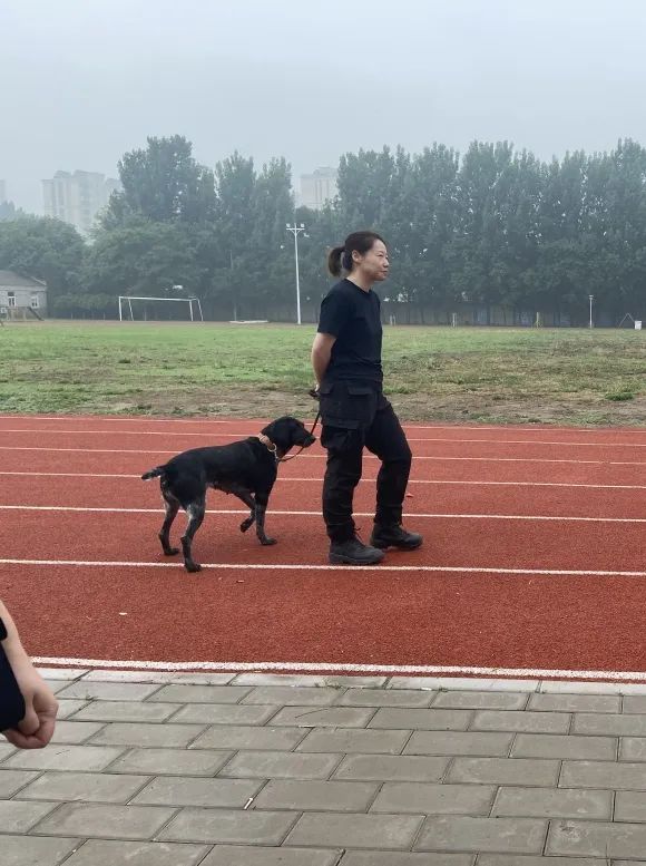 一六北京市公安局警犬基地有一群特别的汪星人,它们是警方破案追捕