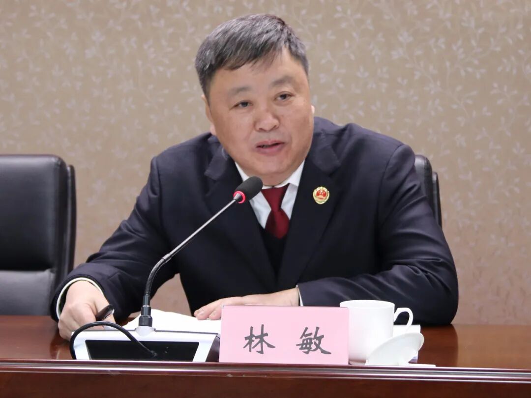 市检察院党组成员,政治部主任林敏对龙湖区检察院上一年的工作和新