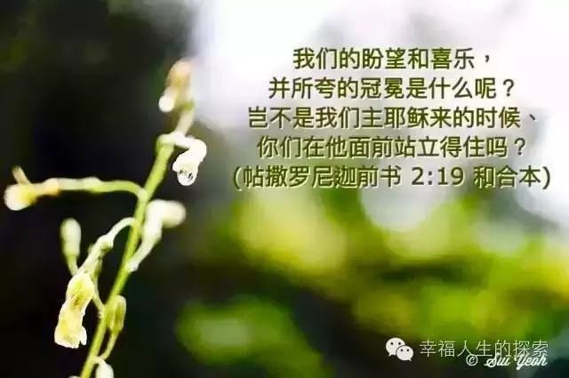 揭秘:基督徒为何也会有那么多痛苦呢【后续】