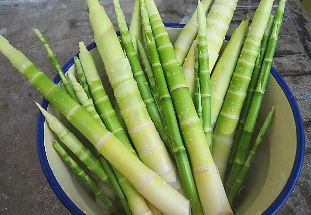 水果的这个部位竟然有毒给宝宝吃时一定要当心