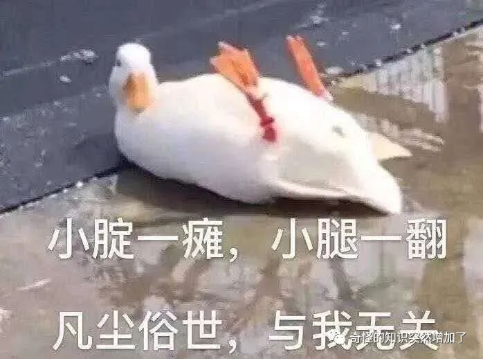 开心网模拟炒股