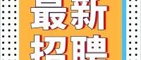 赵老师微信