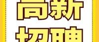 财务资产部副部长招聘