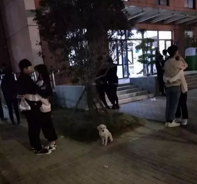 大多数南方人第一次来北方，都会变成这样(图8)