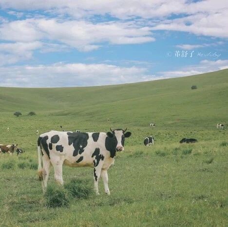 8913.6万人次！这个端午假期，最受欢迎的旅游城市有哪些？你出门浪还是“躺平”3天？