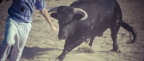 牛市结束了吗？沪指失守3300点，超200股跌停！贵州茅台暴跌近8%