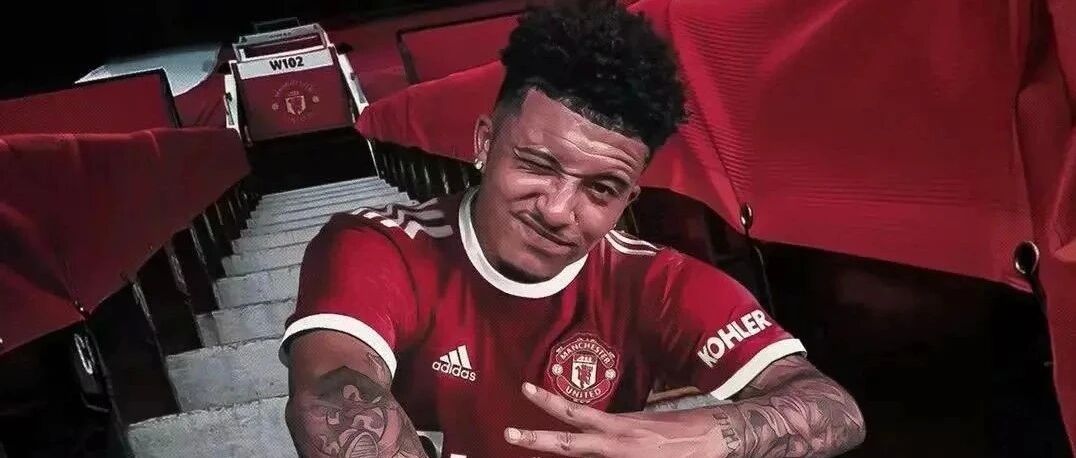 官宣后，下一颗树来了