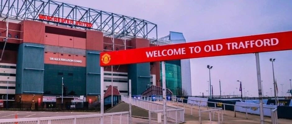 100%，可以下树了