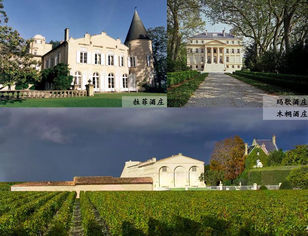 波尔多 archives - 康廷酒庄新闻