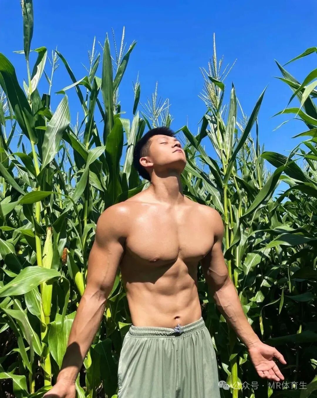 185CM山东肌肉汉子宽肩窄腰身材，又高又壮