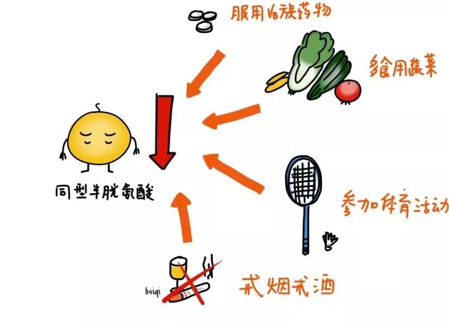 同型半氨酸怎么化验同型半胱氨酸的认知_https://www.jmylbn.com_新闻资讯_第3张