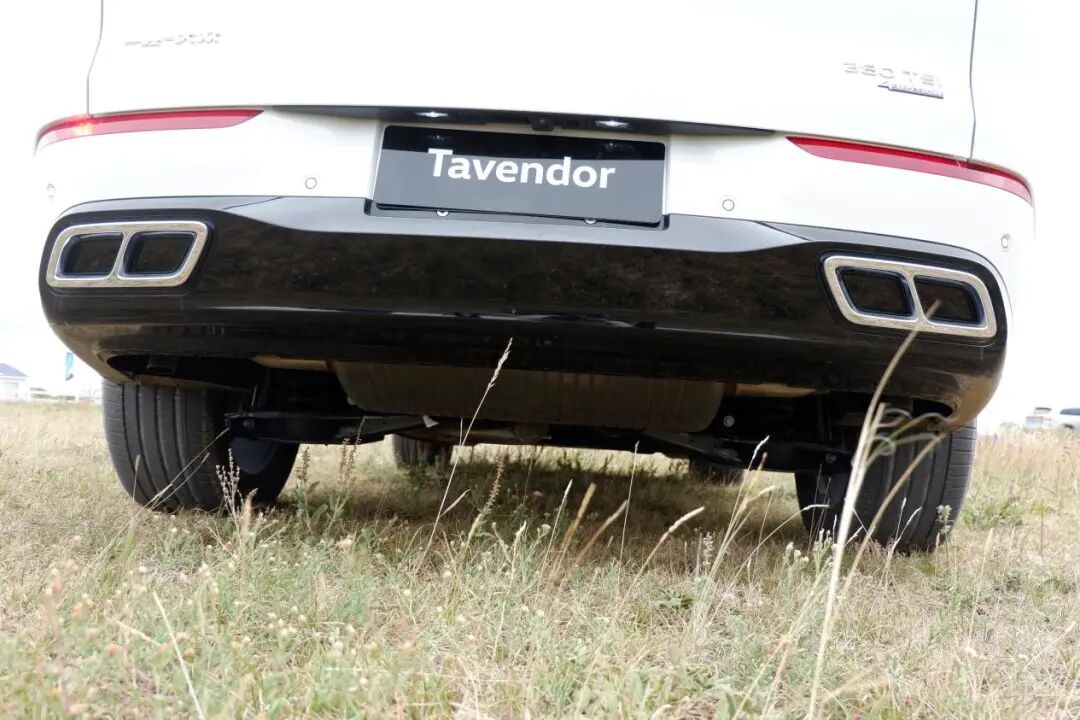 试驾丨打卡又美又险的新疆伊昭公路，揽巡、揽境是好选择吗？