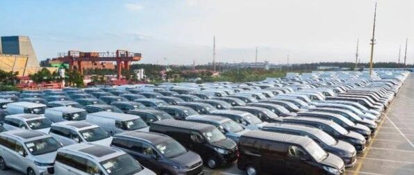 不仅弯道超车，还得“走出去”，中国品牌纯电汽车在海外市场表现如何？