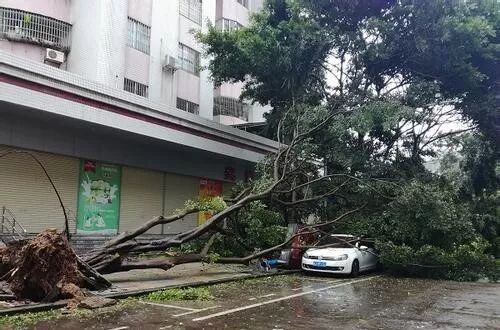 “利奇马”袭击浙沪粤，台风天该如何安全行车和停车？