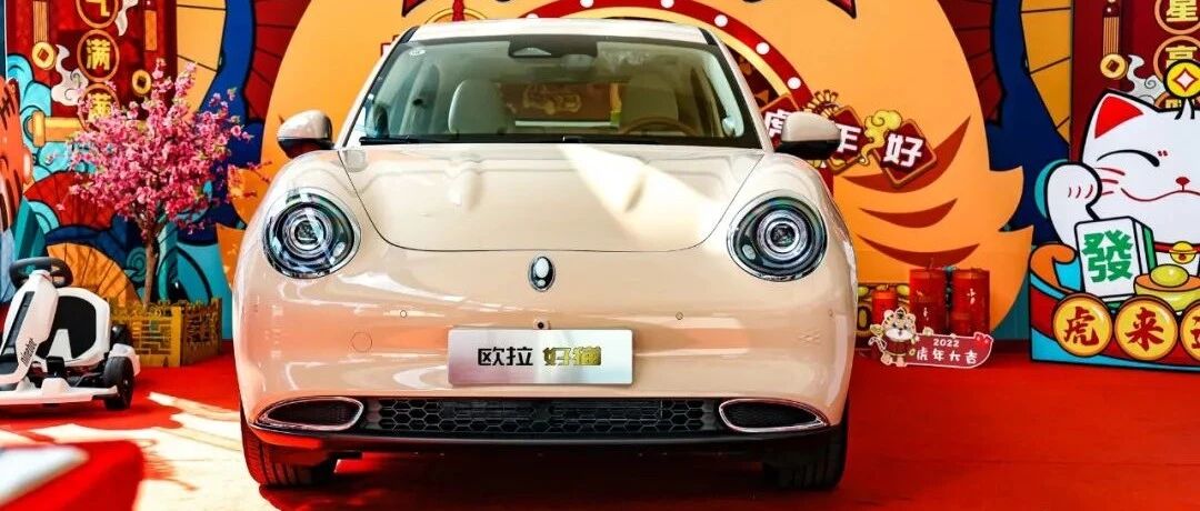 反复对比后，我还是选择了“更懂女性”的欧拉好猫