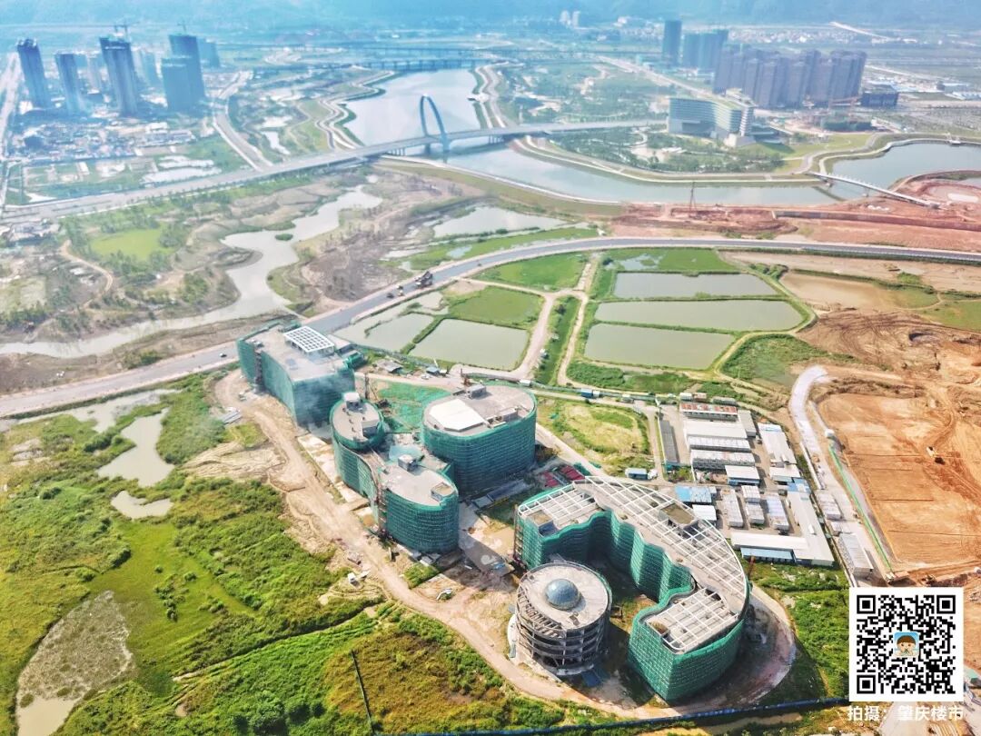 肇庆新区好燃!投资20亿的大学来了!还有n多个项目在路上