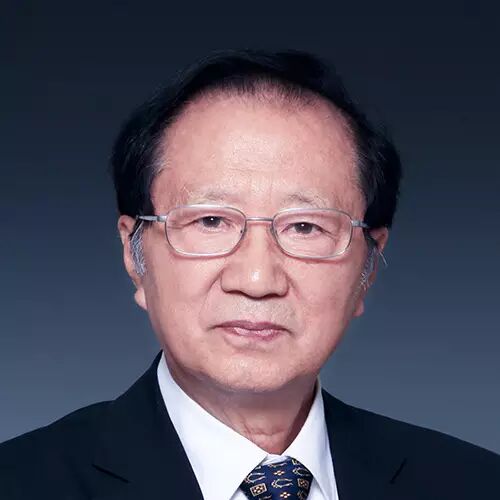 陈清泰 国务院发展研究中心原党组书记,副主任,研究员,cideg理事长