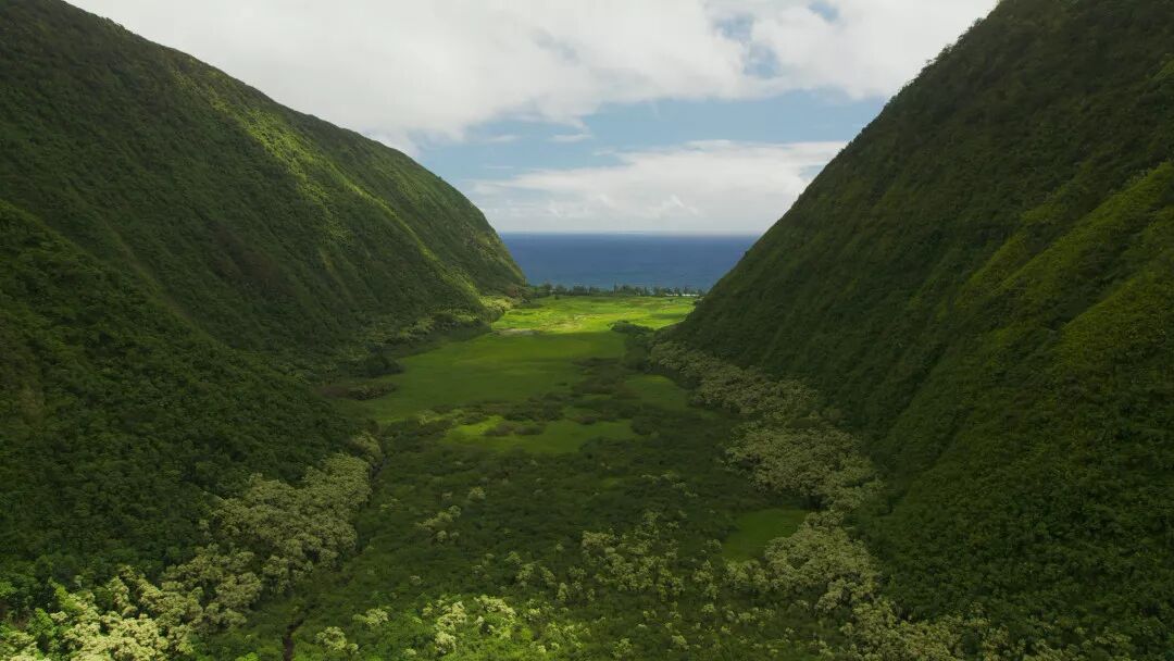 mac默认播放器怎么改_macos默认播放器_mac默认播放器在哪里改