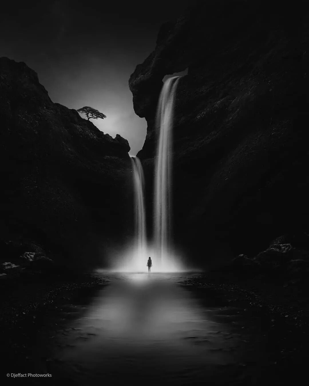 艺术与设计 - 充满魅力的黑白世界