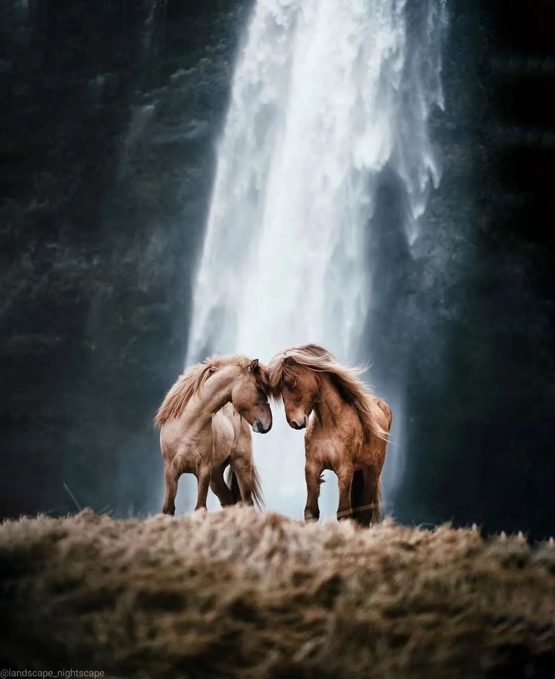 震撼国家地理摄影师的顶级大片及葡萄欣赏