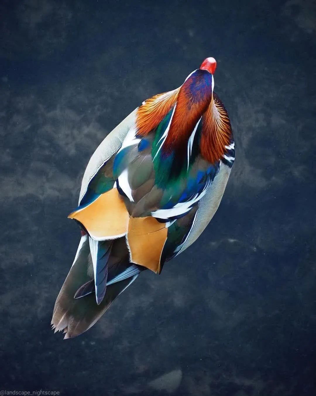 震撼国家地理摄影师的顶级大片及葡萄欣赏