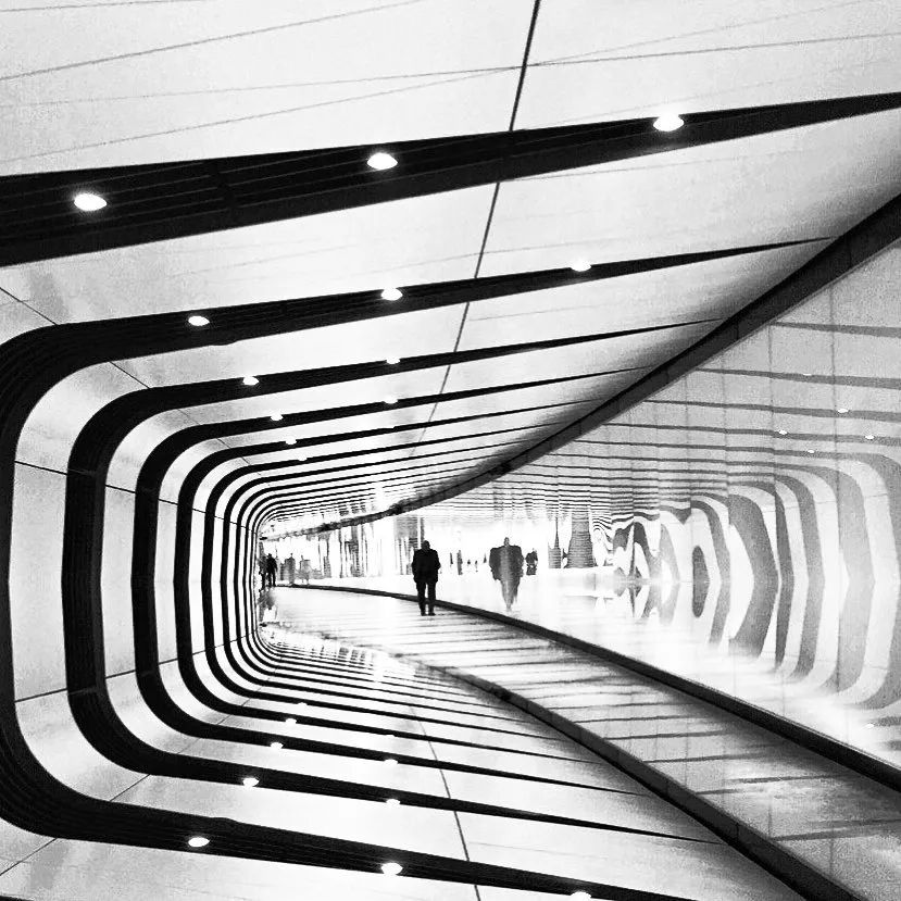 艺术与设计 - 那些玄妙的线条构成一个全新的视觉世界