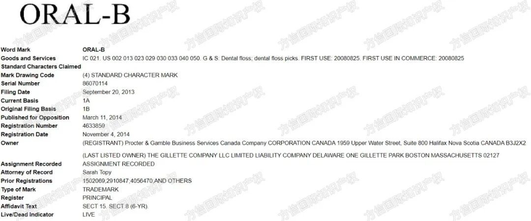 危险！连续3年登上Prime Day热销榜的爆款，知产信息大曝光！