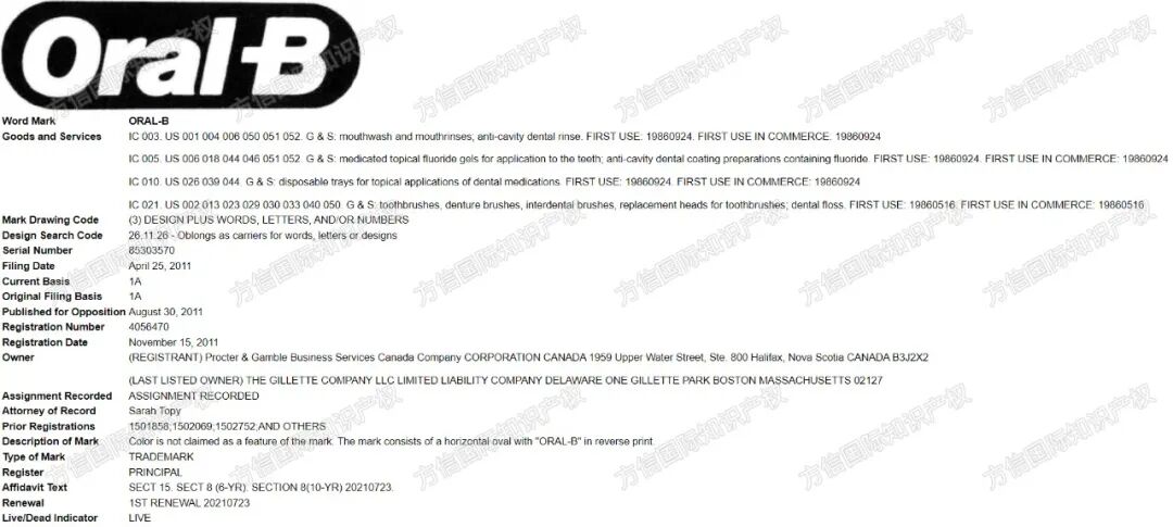 危险！连续3年登上Prime Day热销榜的爆款，知产信息大曝光！