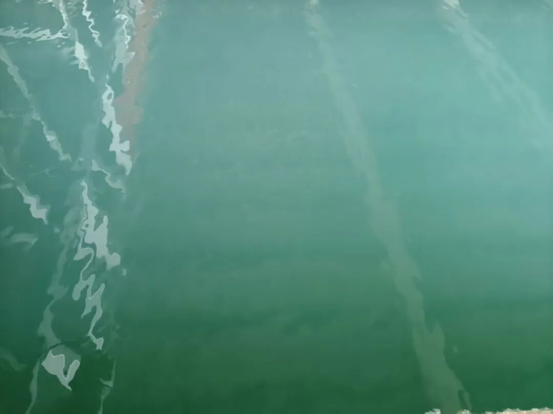 SCM530流動(dòng)電流儀在山東菏澤某水廠的應(yīng)用