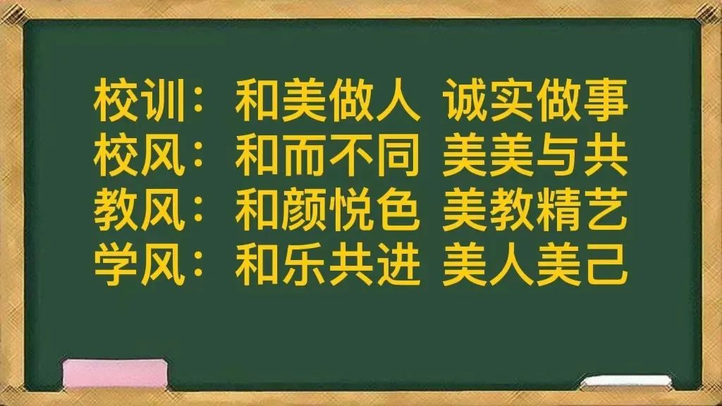 冬天埋的小猫变成了小草