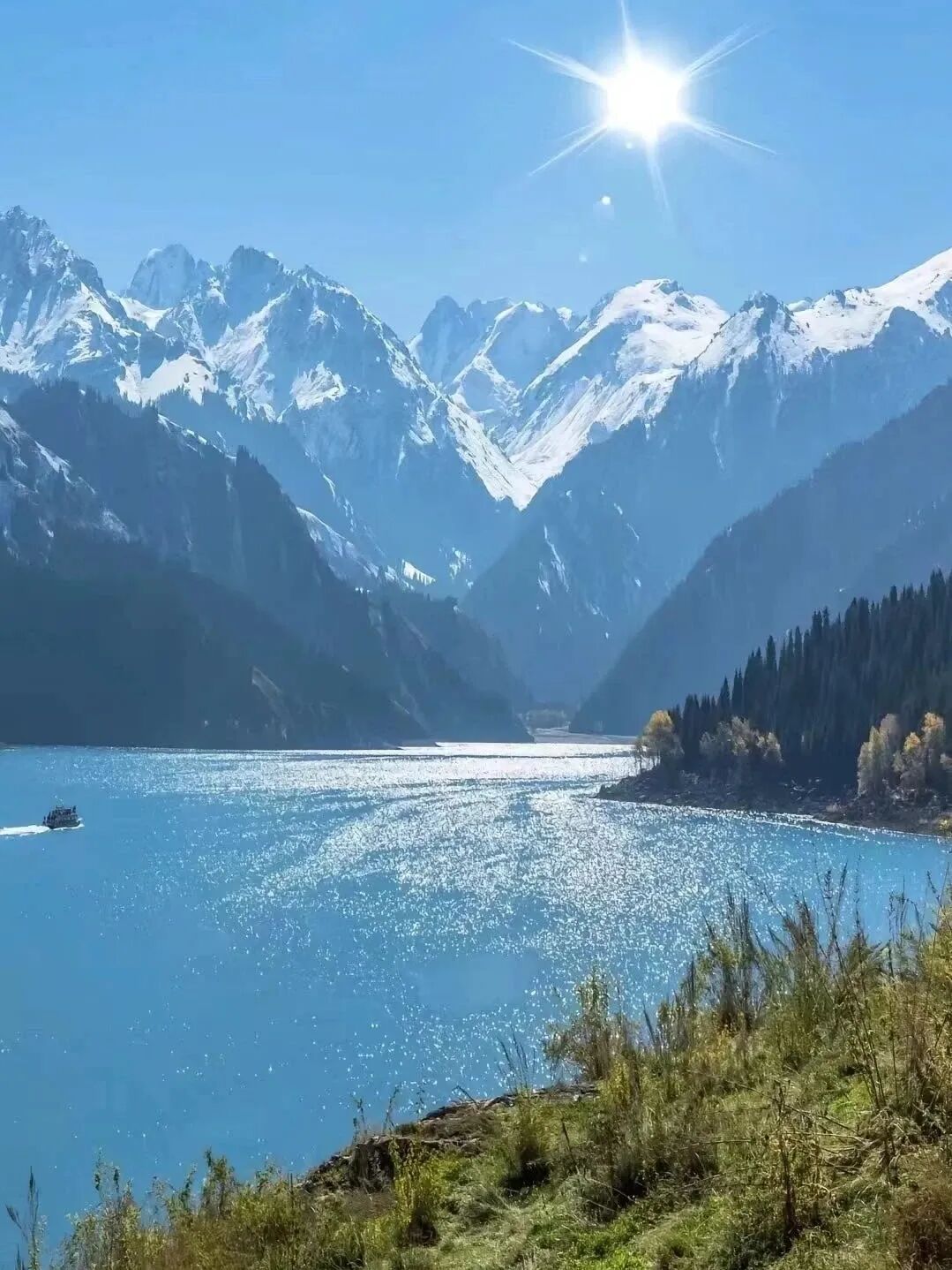 天山天池免票免票免票