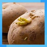 木耳久泡、土豆发芽，要警惕！常吃的5种蔬菜可能会中毒