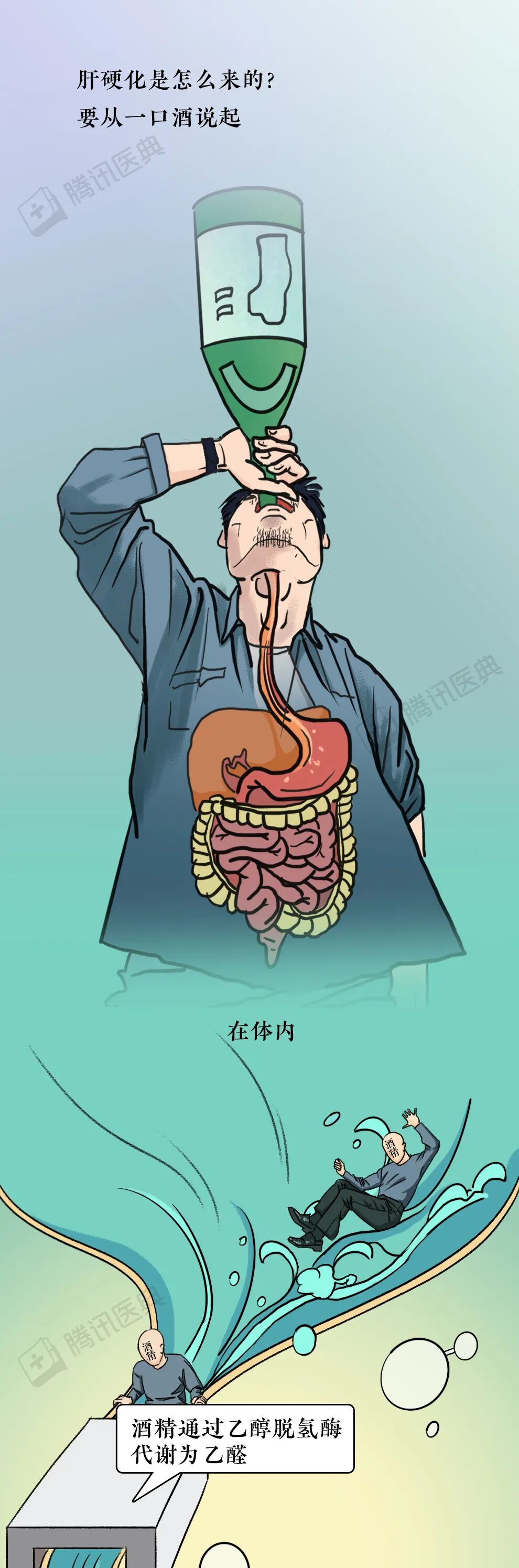 肝脏最怕的1种东西有人却每天都要喝