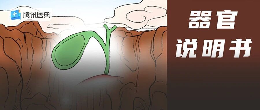 不按时吃饭的人，最后都怎么样了？