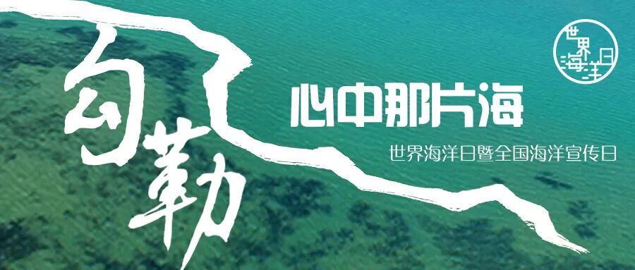 s型拉勾怎么拿世界海洋日 ｜ 拉勾！一起做大海的守护者_https://www.jmylbn.com_新闻资讯_第1张