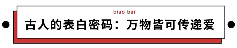 看不懂这些骚气的表白密码 我不配谈恋爱 字媒体 微信公众号文章阅读 Wemp