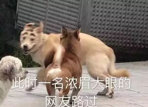 如何擺脫單身  今日神段丨男生令人窒息的通病：他對你講了無數次的八卦一無所知 情感 第27張