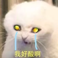 俗气烂大街的流行语,翻译成古文竟然这么有逼格! 俗气烂大街的流行语,翻译成古文竟然这么有逼格!