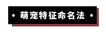 那些給自家愛寵起沙雕名的人，到底是在羞辱誰？ 寵物 第17張